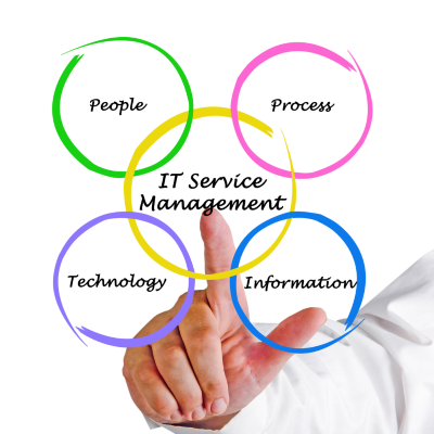 Managed Service Provider (MSP)