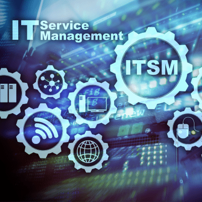 Managed Service Provider (MSP)